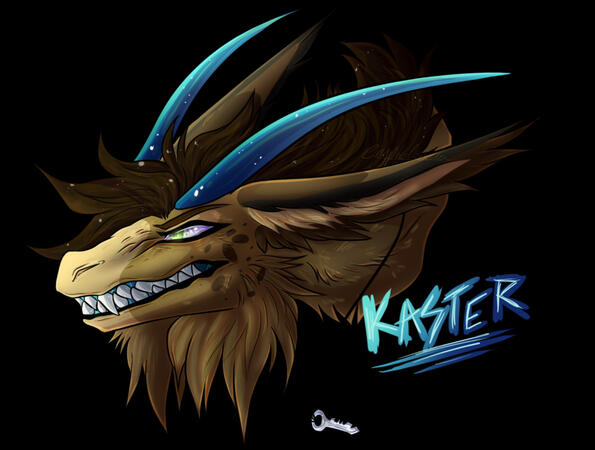 Full Shaded Bust